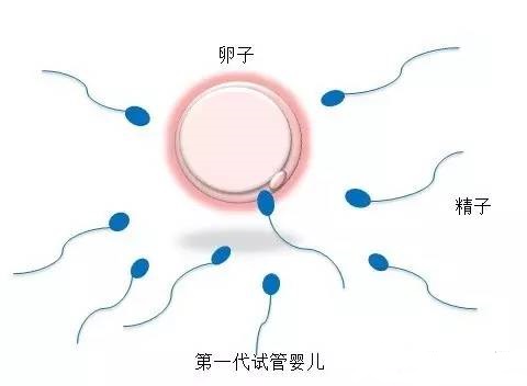 关于靠谱代怀服务联系电话